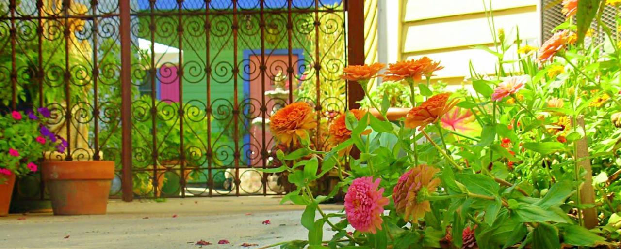 Creole Gardens Guesthouse And Inn 뉴올리언스 외부 사진